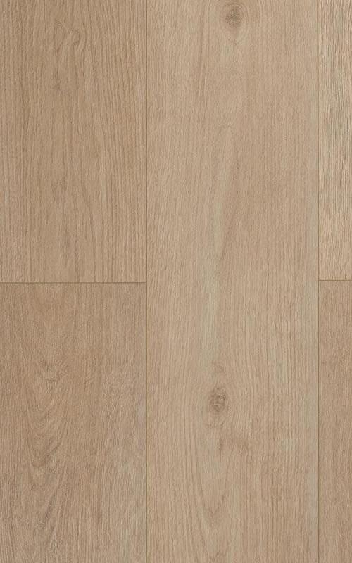 SPC ламинат My Step Тал MS8008